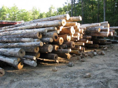 Fore River Bridge Pilings