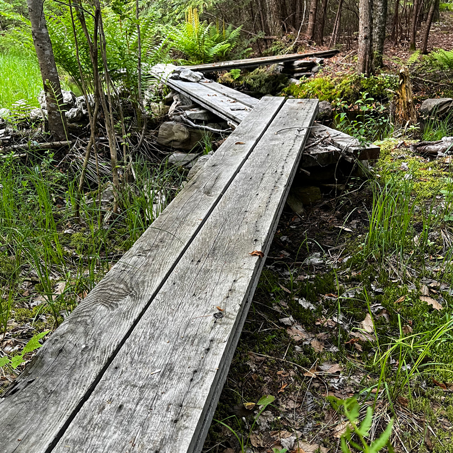 Salvaged Hemlock Decking Boardwalk Bridge