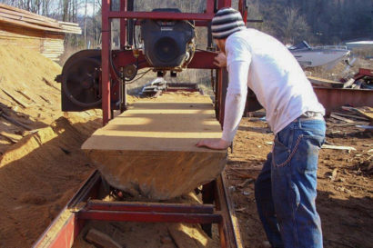 Chestnut Log Appalachian Mountains