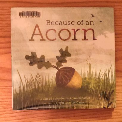 Because of an Acorn by Lola Schaefer