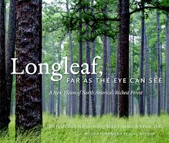 Longleaf, Far as the Eye Can See by Bill Finch
