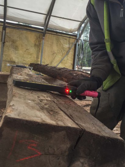 Finding Nails In Hickory Beams, Berwick, ME