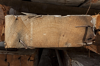 Salvaged Doug Fir Beams End Grain