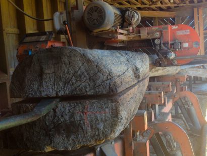 Salvaged Live Oak Beams Sawn For Apollinaire Theatre Bartop