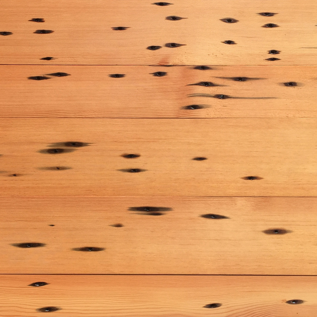 Reclaimed Naily Fir Paneling