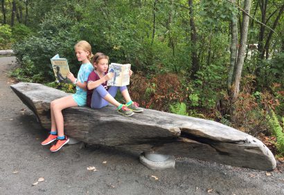 Salvaged Live Oak Bench At Walden Pond, Concord, MA