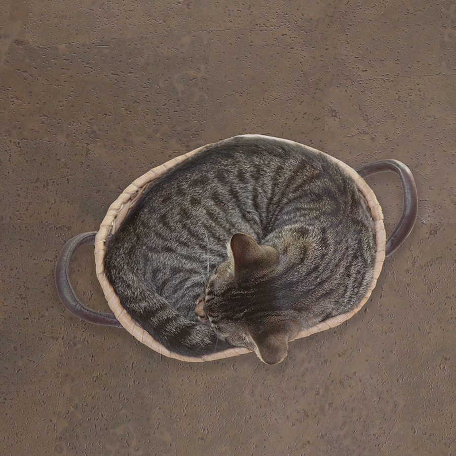 We Cork Floating Floor Avant Garde Collection - Tuscany We Cork Floating Floor Avant Garde Collection - Tuscany